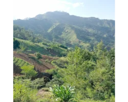 La Foi, ce Saut dans l’Inconnu